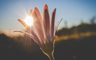 The Value of Grief 101
